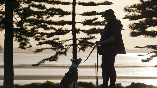 Woman training dog
