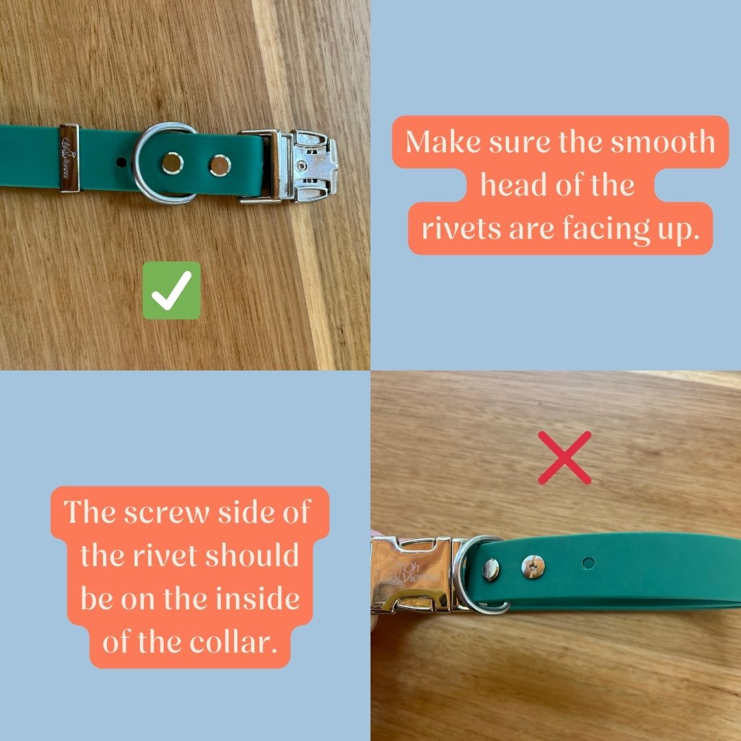 Visual guide showing correct and incorrect rivet placement on an Oh Vienna waterproof dog collar