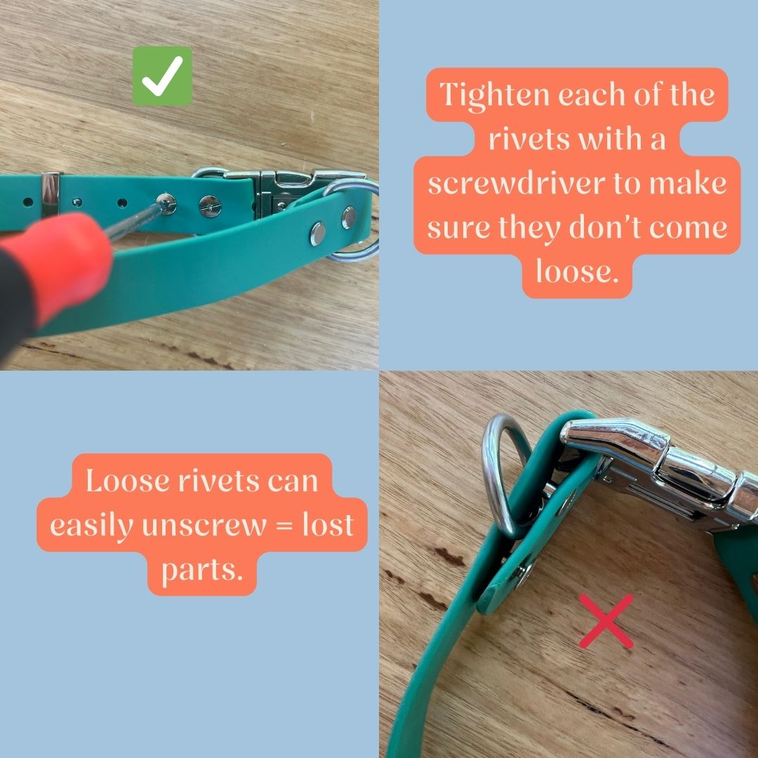 Visual guide showing how to correctly screw in rivets on an Oh Vienna waterproof dog collar