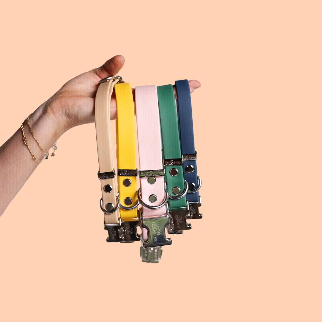 Hand holding multiple colors of Oh Vienna dog collars against a peach background