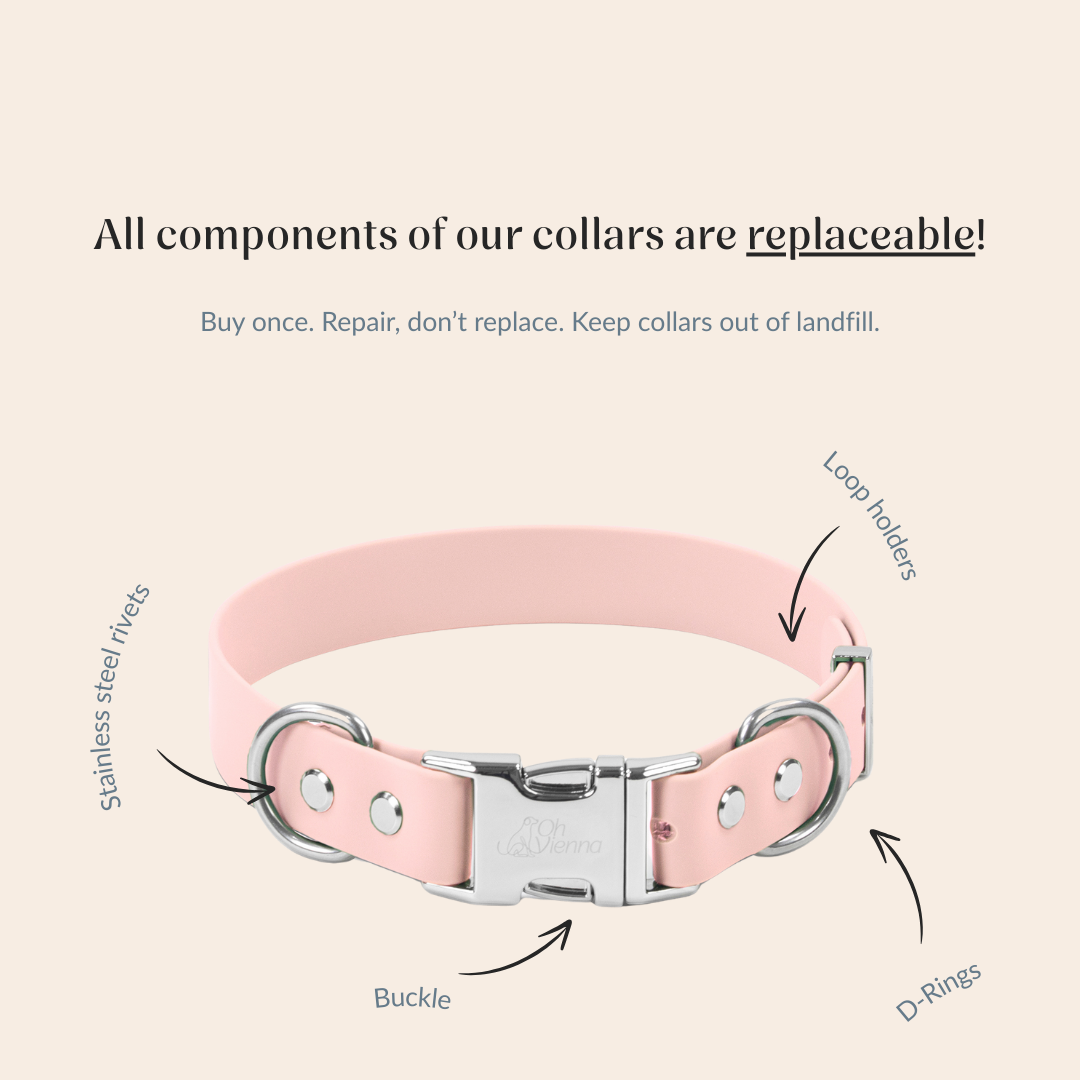 Pink dog collar with labeled replaceable components on a beige background
