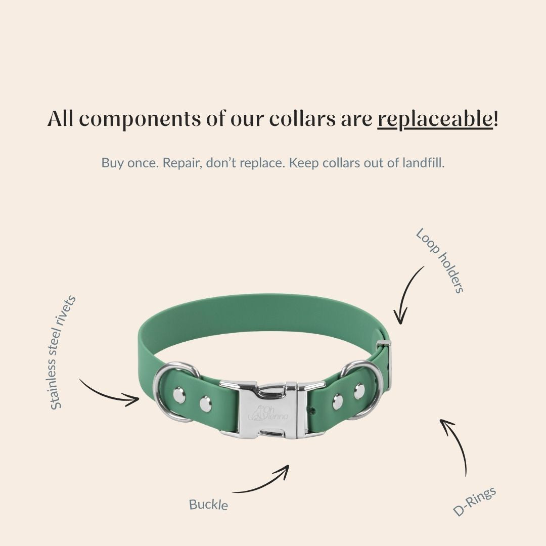 Green dog collar with replaceable components on a beige background