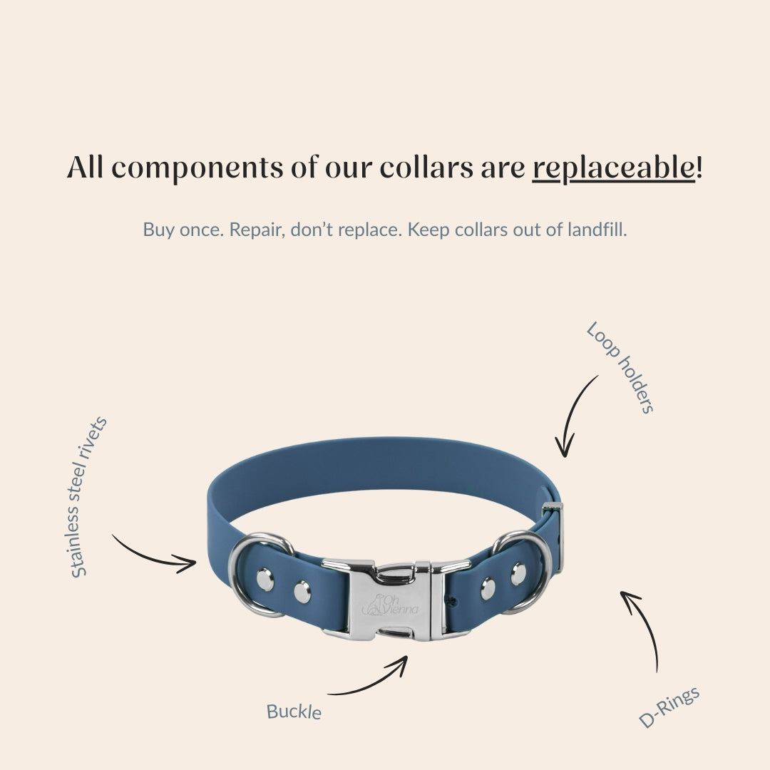 Blue dog collar with replaceable components on a beige background