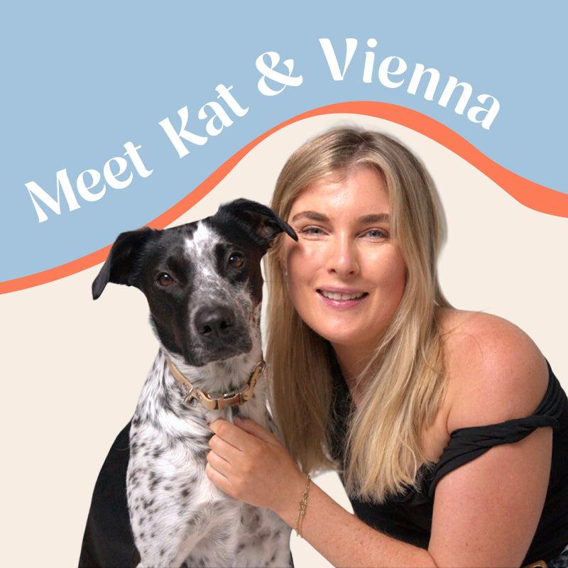 Meet the founder of waterproof dog collars