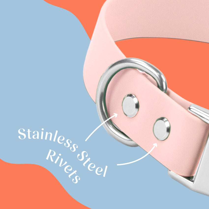 Replacement Hardware Pack for Oh Vienna Collars