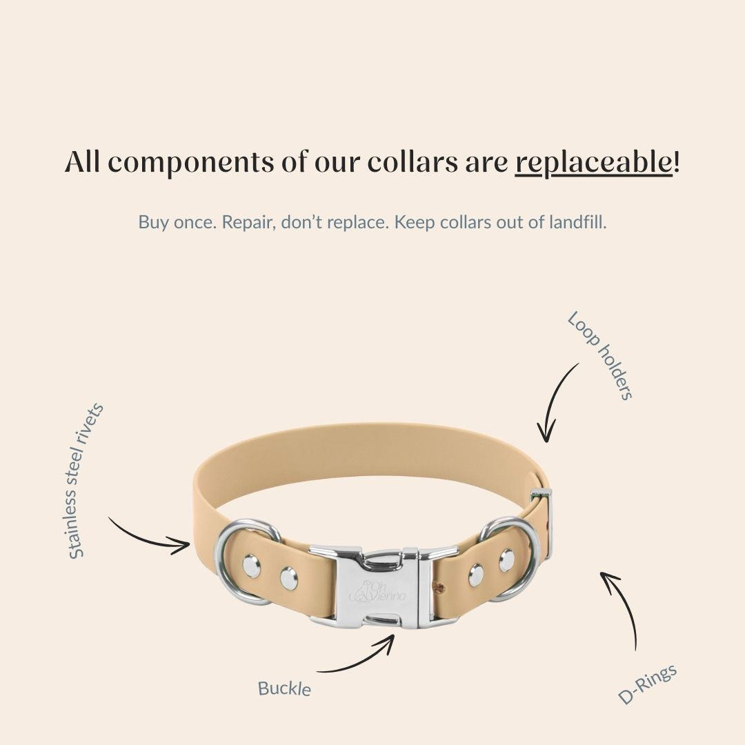 Beige dog collar with replaceable components on a beige background