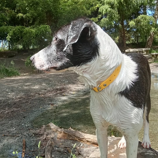 Hover Image